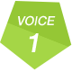 VOICE1
